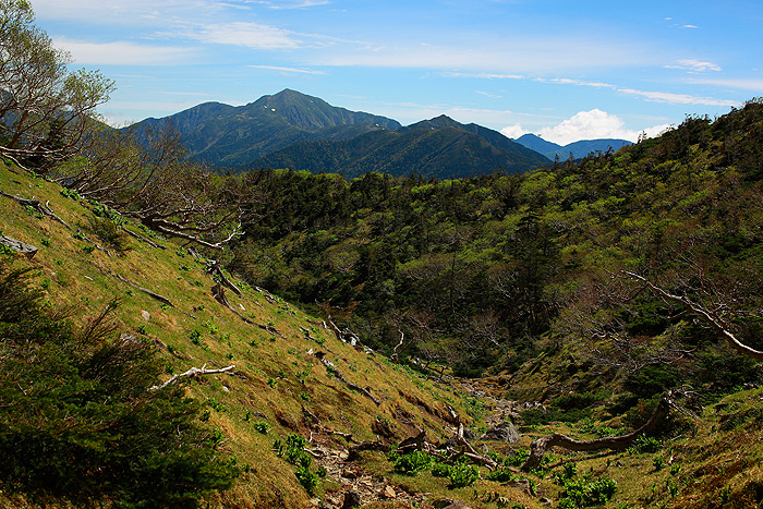 a0148606_12321311.jpg