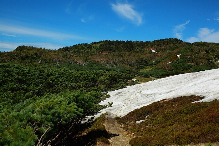a0148606_12323077.jpg