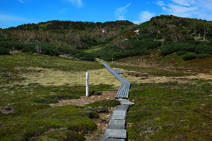 a0148606_12324642.jpg