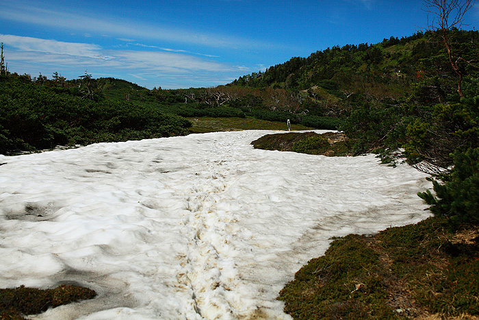 a0148606_12332148.jpg