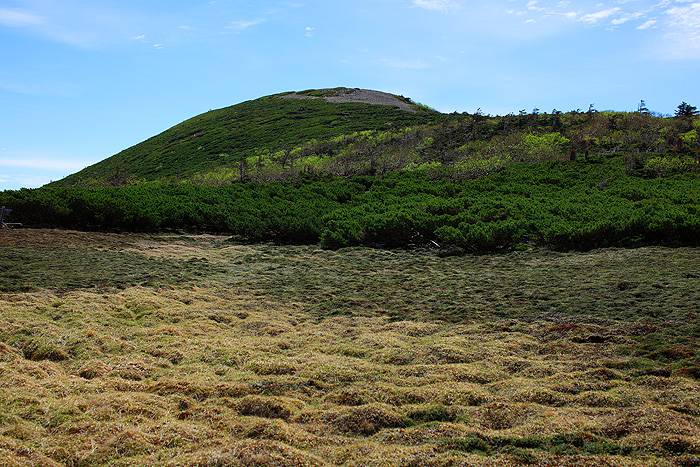 a0148606_1233760.jpg