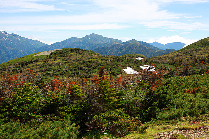 a0148606_12341677.jpg