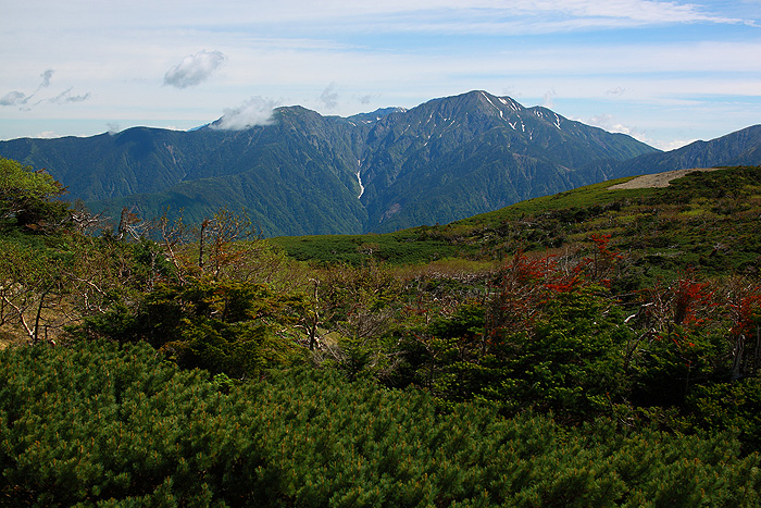 a0148606_12343889.jpg