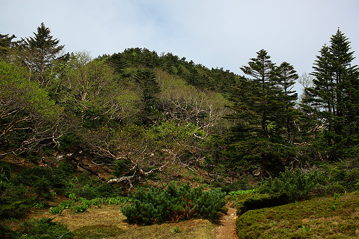 a0148606_12345625.jpg