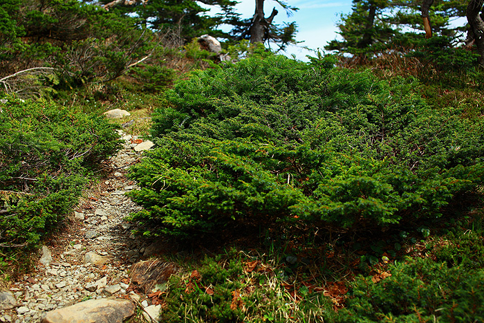 a0148606_12351025.jpg