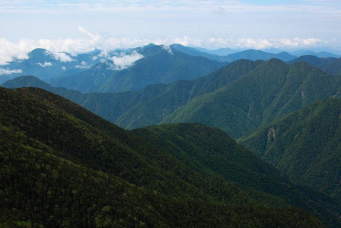a0148606_1236186.jpg