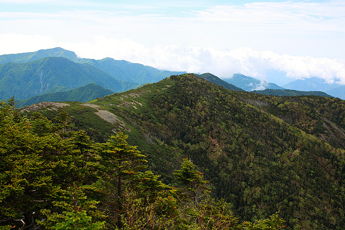 a0148606_1237095.jpg