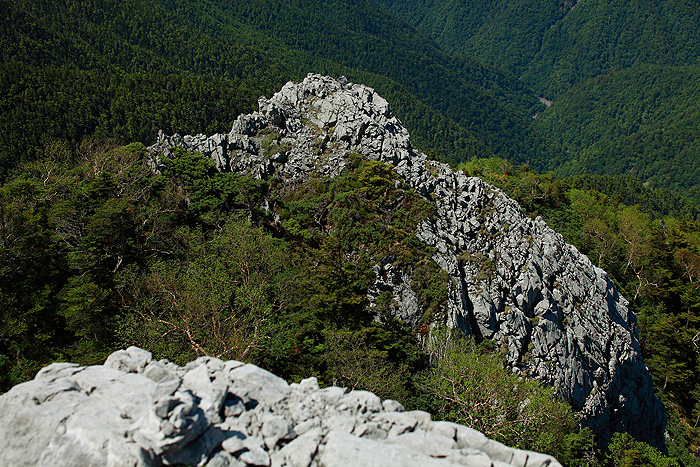 a0148606_12375851.jpg