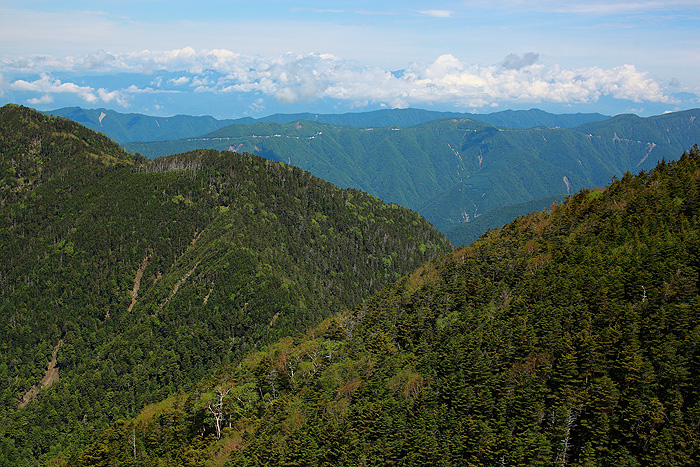a0148606_12383811.jpg