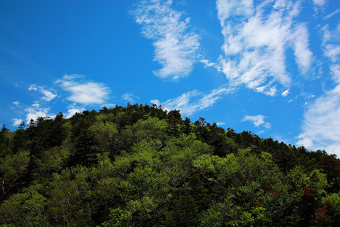 a0148606_1239216.jpg
