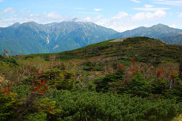a0148606_12393763.jpg