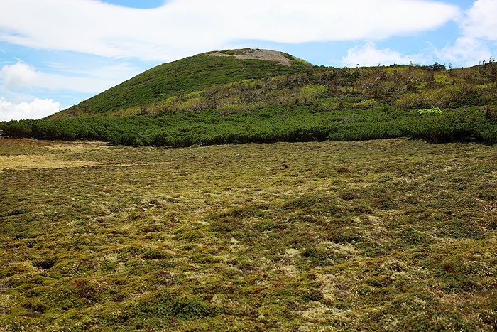 a0148606_12395829.jpg