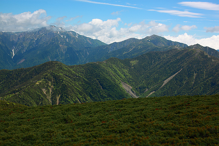 a0148606_12415039.jpg