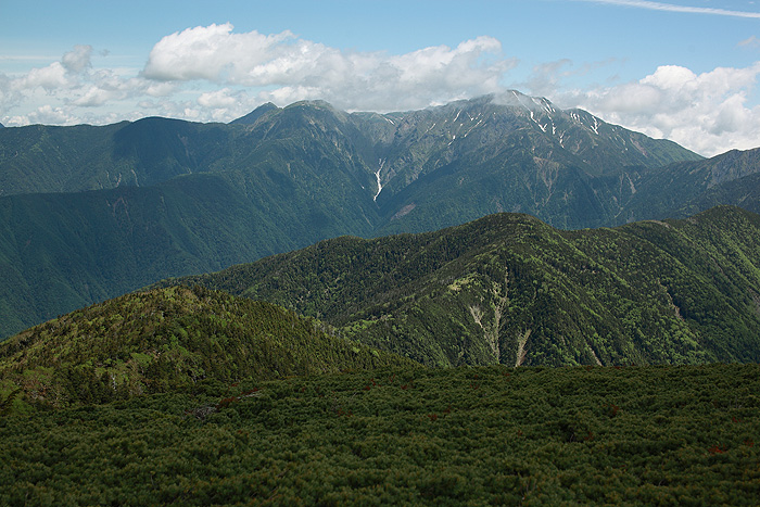 a0148606_12421163.jpg