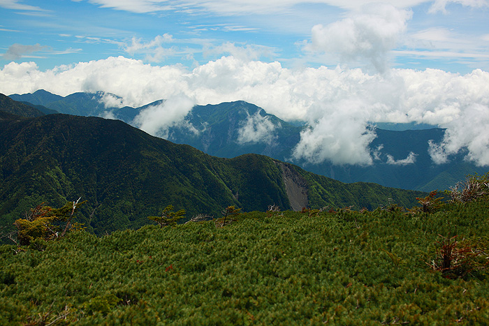 a0148606_1242346.jpg
