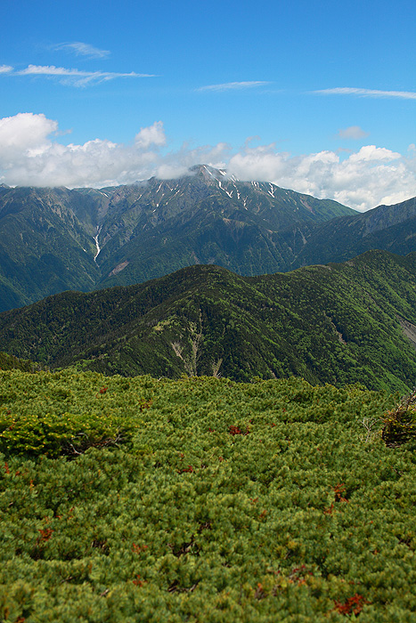a0148606_12424952.jpg