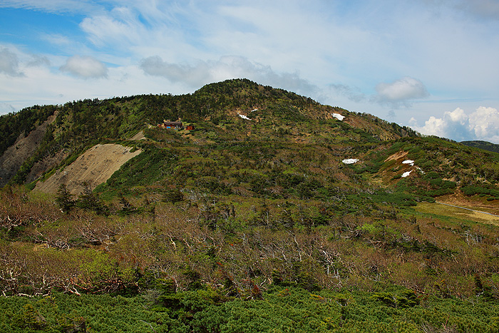 a0148606_12432074.jpg