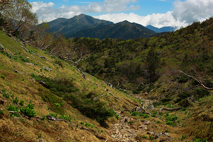 a0148606_1243351.jpg