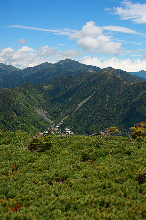 a0148606_1243479.jpg