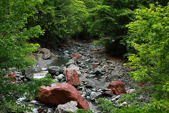 a0148606_12451953.jpg