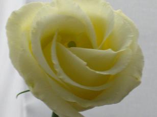 c0098807_201141.jpg