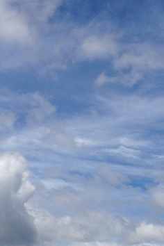 d0118208_21304748.png