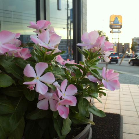 e0099212_20213259.jpg