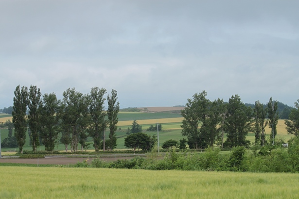 a0109914_05182.jpg