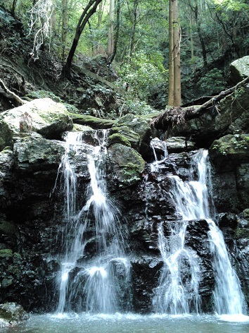 c0146714_2044093.jpg