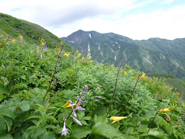 d0170615_11353098.jpg