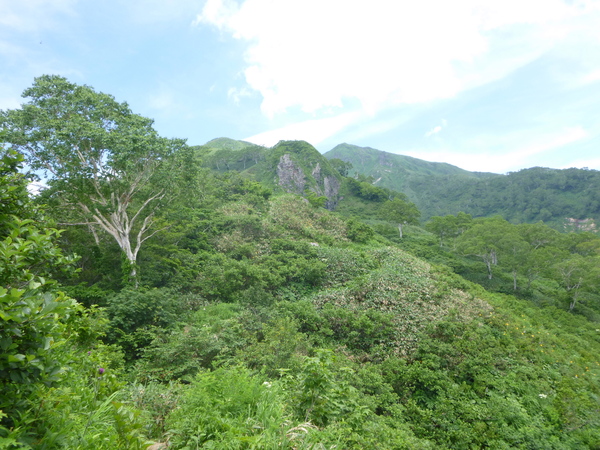 d0170615_11383870.jpg