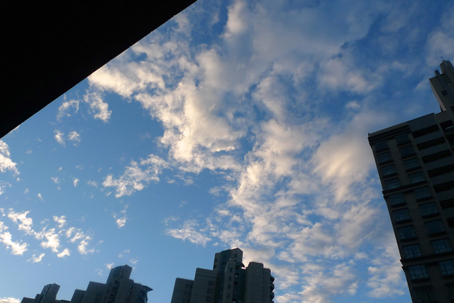 e0157816_8504229.jpg