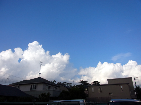 e0083517_2381055.jpg