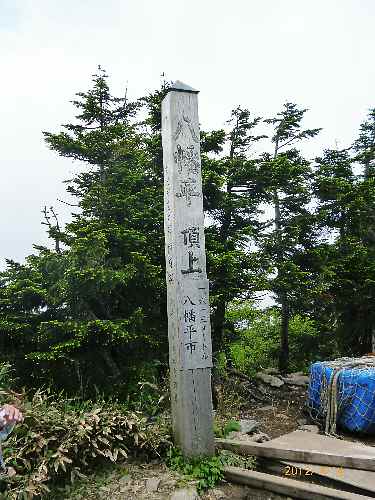 e0047322_2314973.jpg