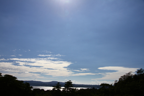 d0158028_23392986.jpg