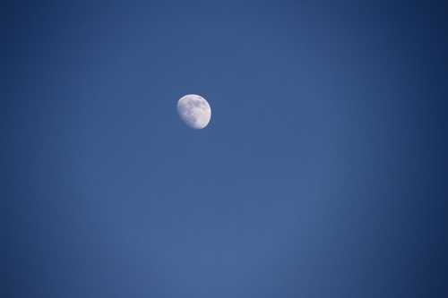 d0158028_234013.jpg