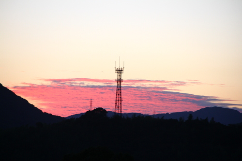 d0158028_23411585.jpg