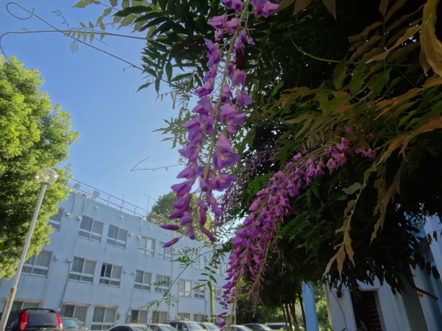 e0016828_1153858.jpg