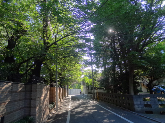 e0016828_1241469.jpg