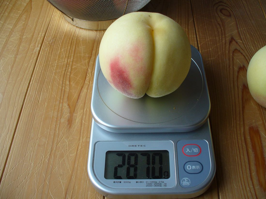 f0275632_22185153.jpg