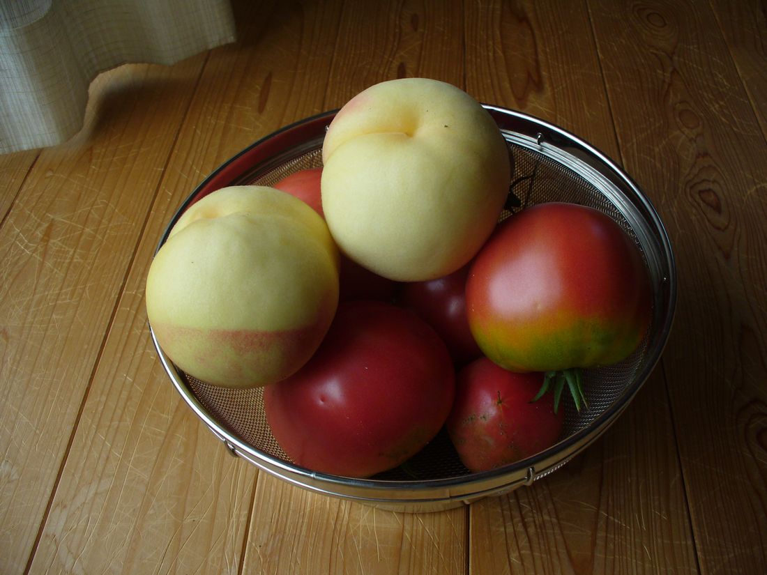 f0275632_22191794.jpg
