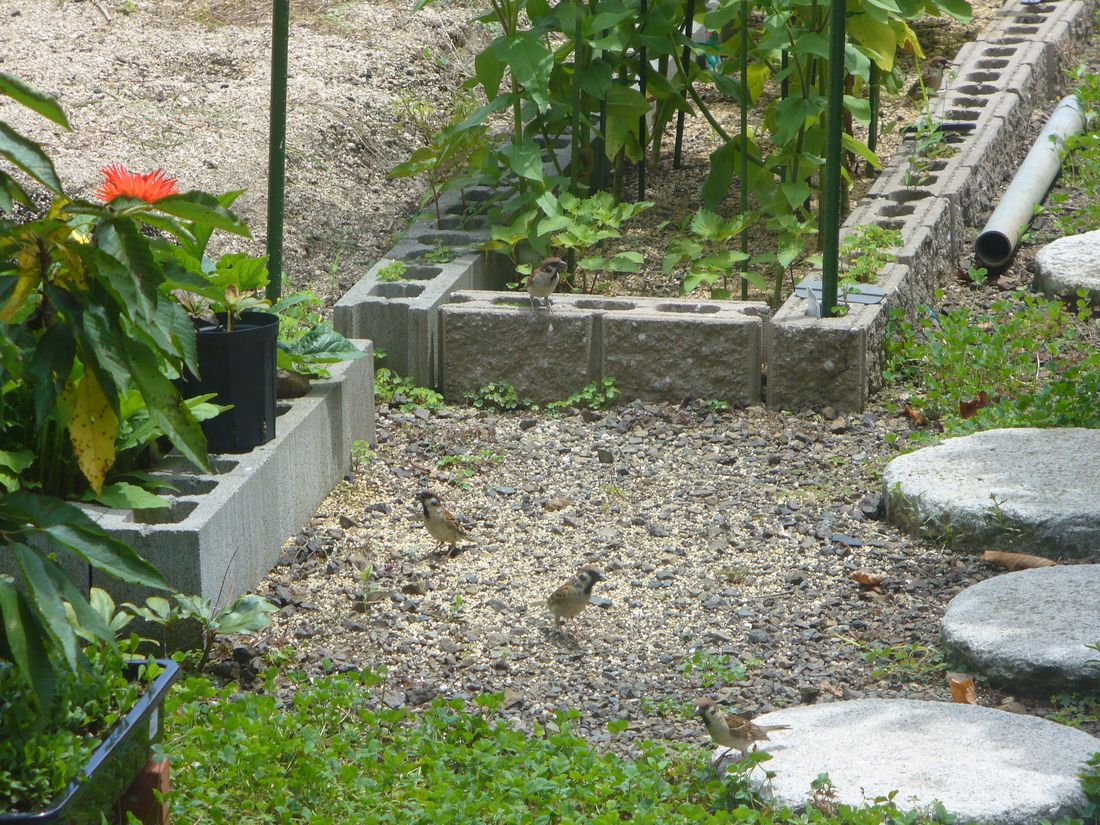 f0275632_22311783.jpg