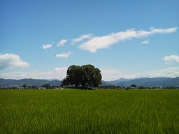 a0272241_1456562.jpg