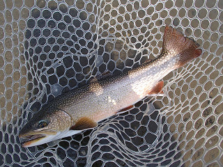 f0065341_12515170.jpg