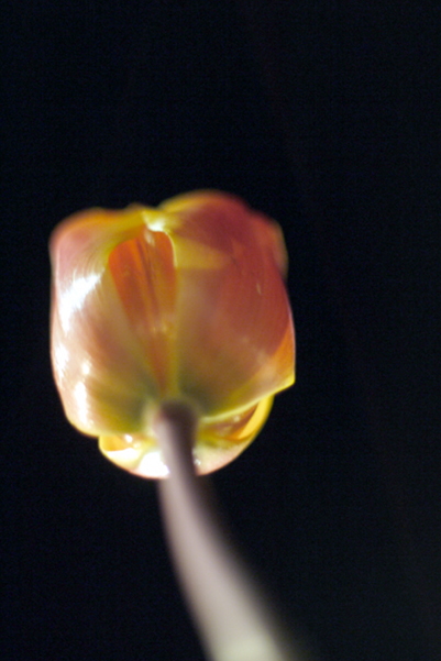 e0296043_17481647.jpg