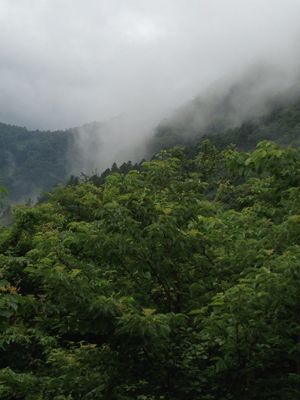 e0225144_1541254.jpg