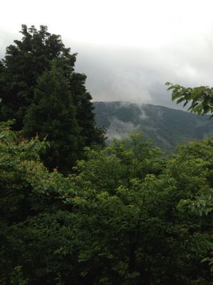 e0225144_1541374.jpg