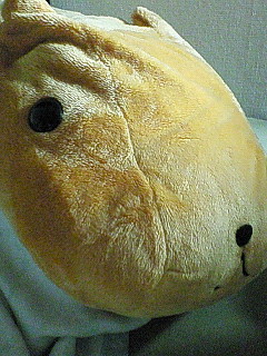 d0322445_13403216.jpg