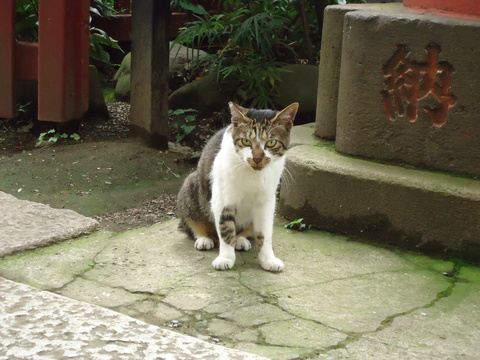 a0099446_23543112.jpg