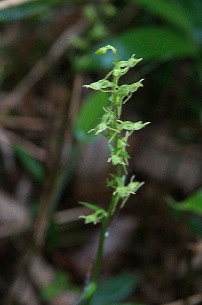 f0214649_1042750.jpg